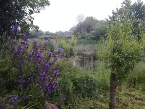 Natur pur