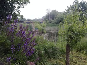 Natur pur