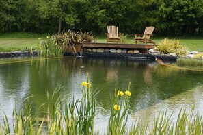 Our Natural swimming pool in spring