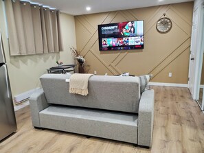 Beautiful & Spacious Living Room 