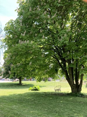 Du calme et de la sérénité dans le parc