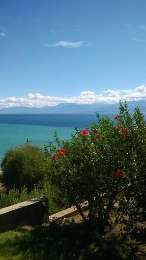 Beach/ocean view