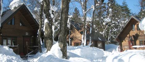 [Cottage] Winter / Exterior example