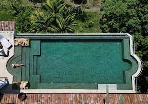 Creatively designed grand pool in a privileged location in Manuel Antonio