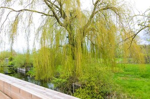 Vue depuis l’hébergement