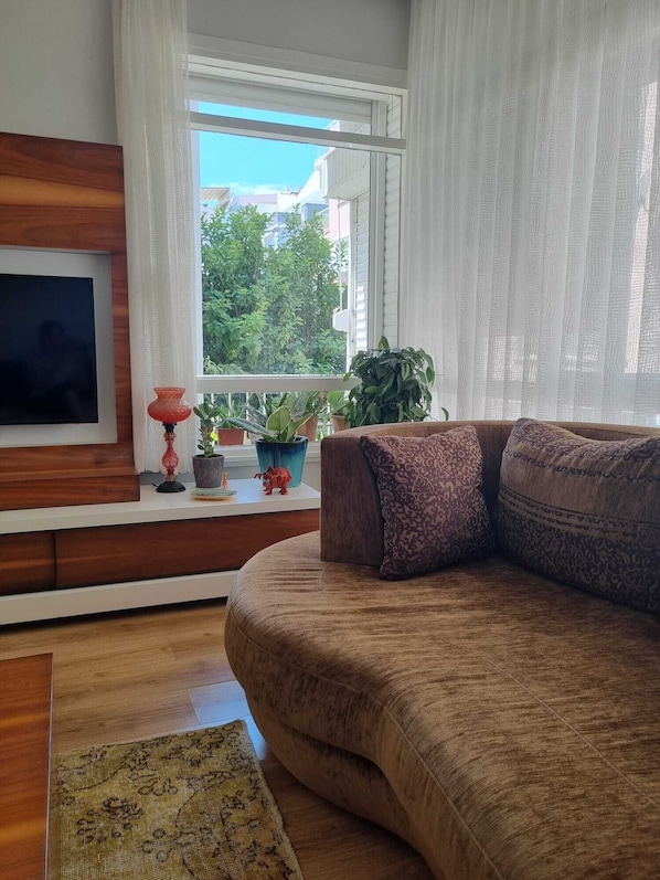 A living room with the view of a lemon tree 