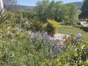 Terrain de l’hébergement 