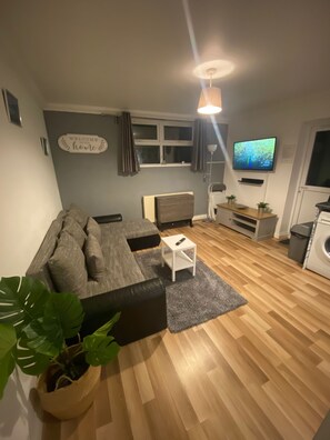 Living Room / Lounge