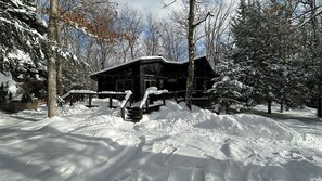 More than 30" of snow in January 2025