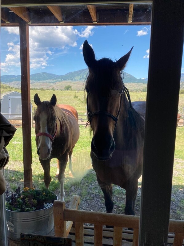 View from property
