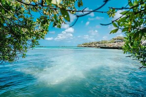 Mangel Halto is a perfect beach in Aruba with calm, shallow waters rich in sea life supported by an intriguing network of mangroves. Only about 10 minutes from the property with car.