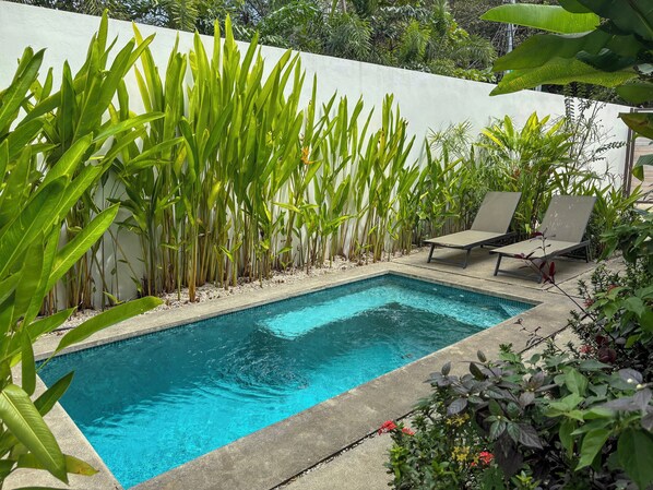 Amazing private salt water pool