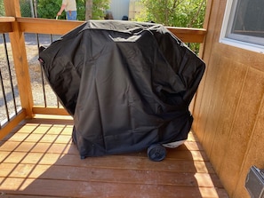 Propane Grill
