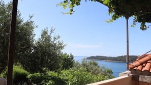 Sea view from the terrace