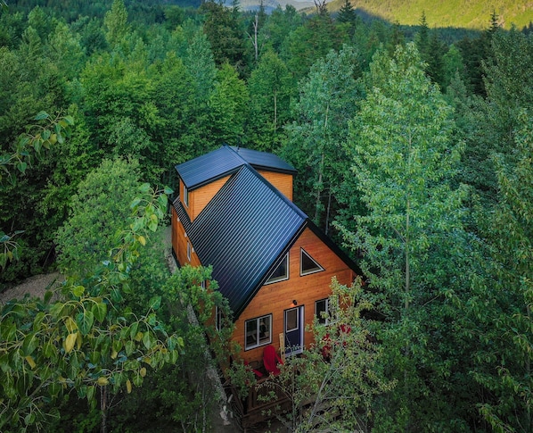 Akira Lodge - set within trees and nature 