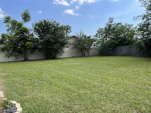 Fenced in backyard