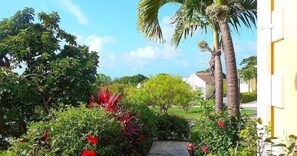 Stunning variety of flowers to greet you on your way to the front door