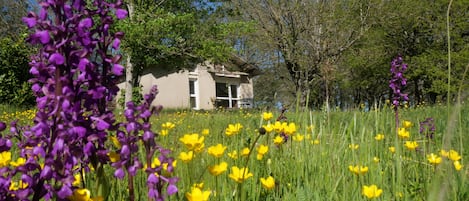 Gîte bucolique au printemps