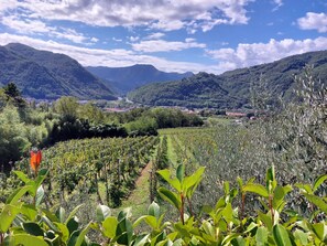 Terrain de l’hébergement 