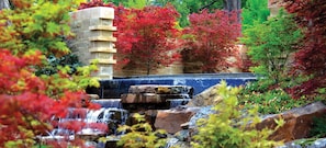 Dallas Arboretum and Botanical Garden