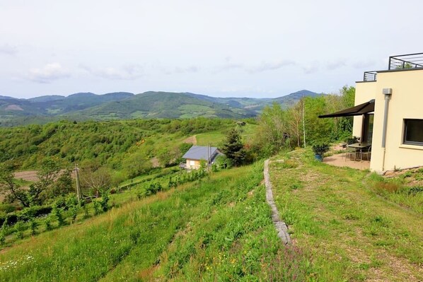 Vuex sur les monts du Beaujolais