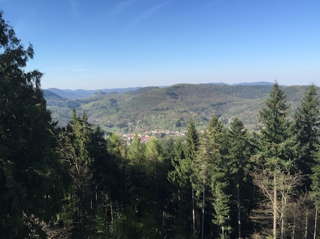 Blick vom Martinsturm Richtung Burg Trifels