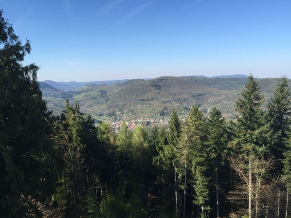 Blick vom Martinsturm Richtung Burg Trifels
