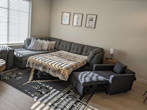 Pull our couch in living room, also recliner that folds out into small bed.