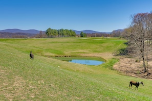 Fishing Pond | Mountain Views | Private Hot Tub | Grills | Fire Pit