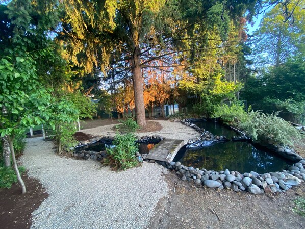 Backyard oasis and pond