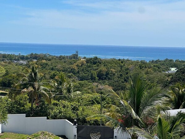 View from property