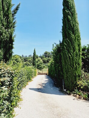 Terrain de l’hébergement 