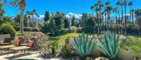 Sunny Western Mountain Views