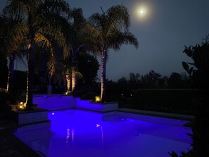 Brand new pool renovation May 2024