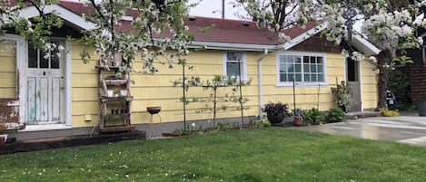 Grassed in back yard and parking with fruit tree shade and sunny patio area.