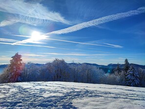 Skidåkning och snöaktiviteter