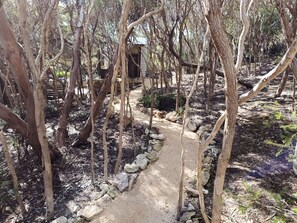 Beautiful bush block, path to the bunk room 