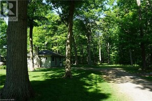 Private road to cottage

