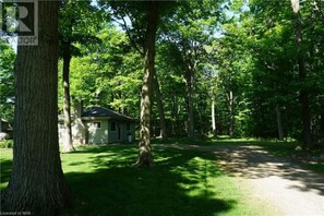 Private road to cottage

