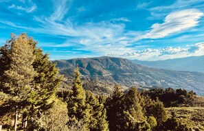 Vista dalla camera