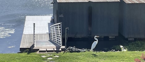 Walk across our grass levee to our private dock.