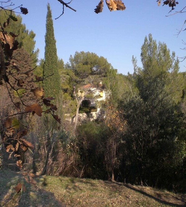 La maison vue de l entrée  de la propriété 