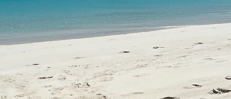 Beach in front of house in June 