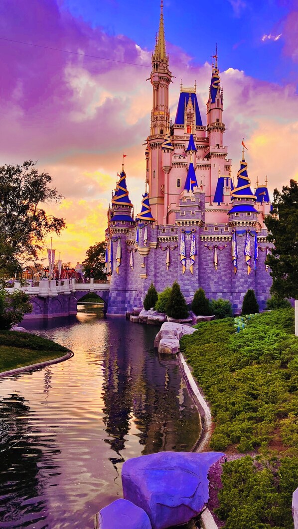 Disney Castle
I took this picture on one of our visits to Disney