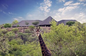 Mokolodi Nature Reserve