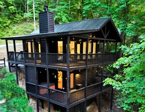 Matte black exterior with dramatic black metal roof and sweeping forest views