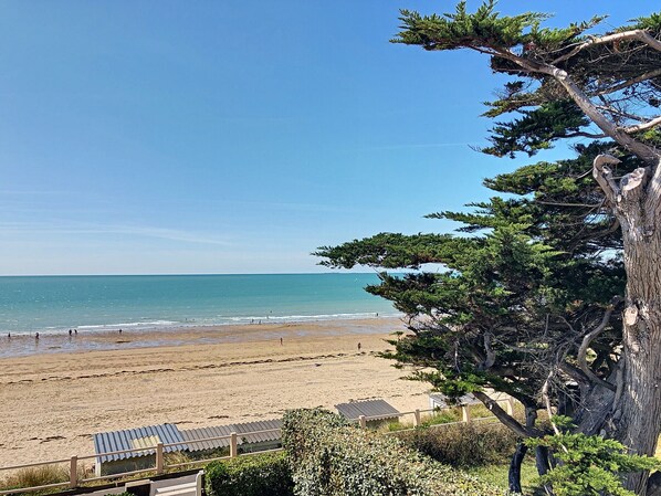 Magnifique vue sur mer