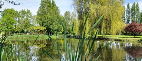 Terrain de l’hébergement 