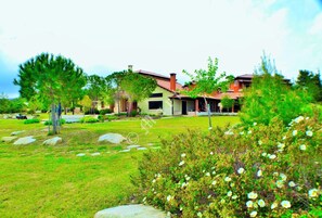 The villa