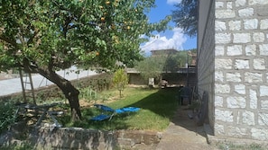 Garden, Backyard, Brick, Shade, Yard